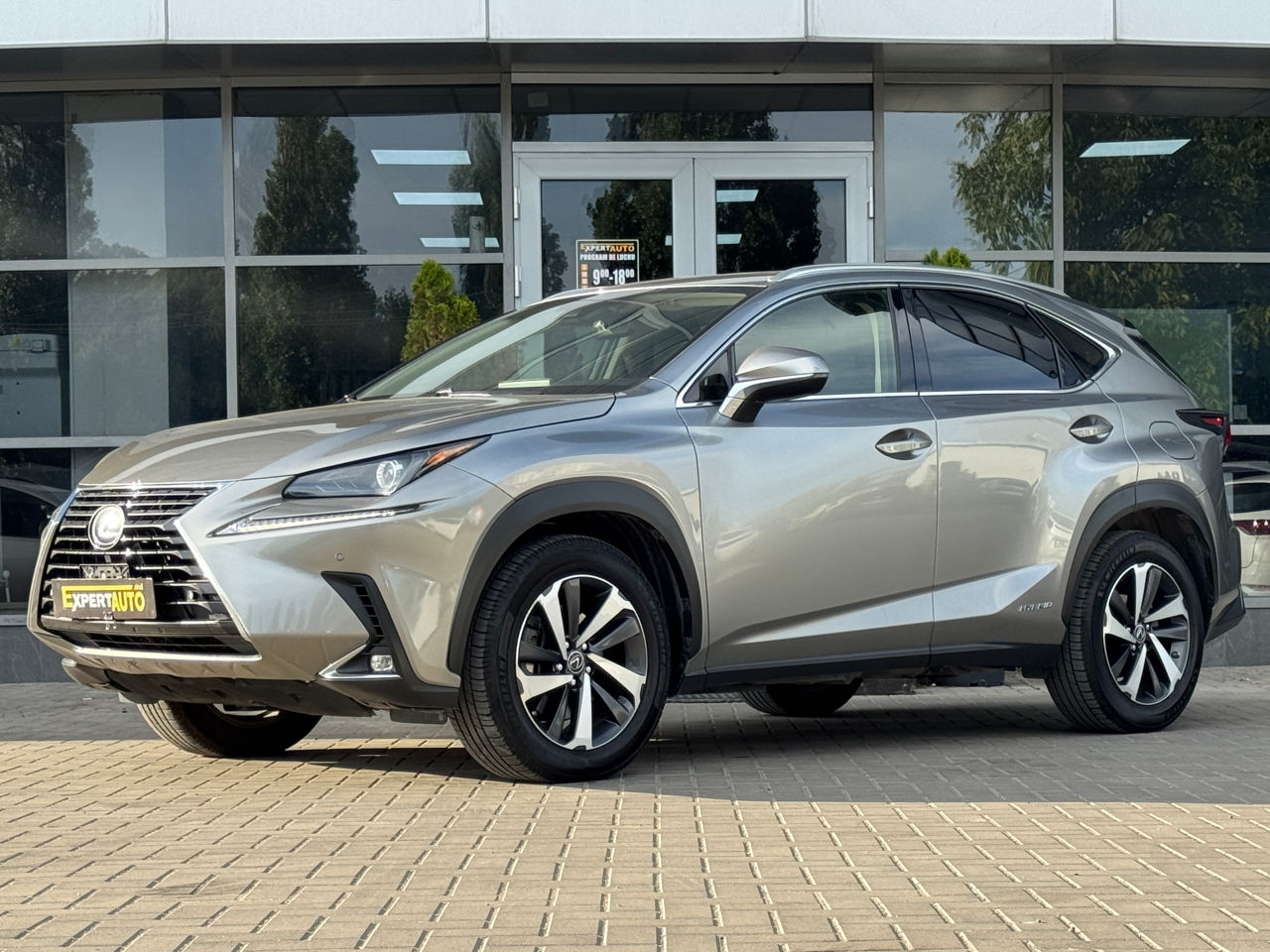 Lexus NX Series