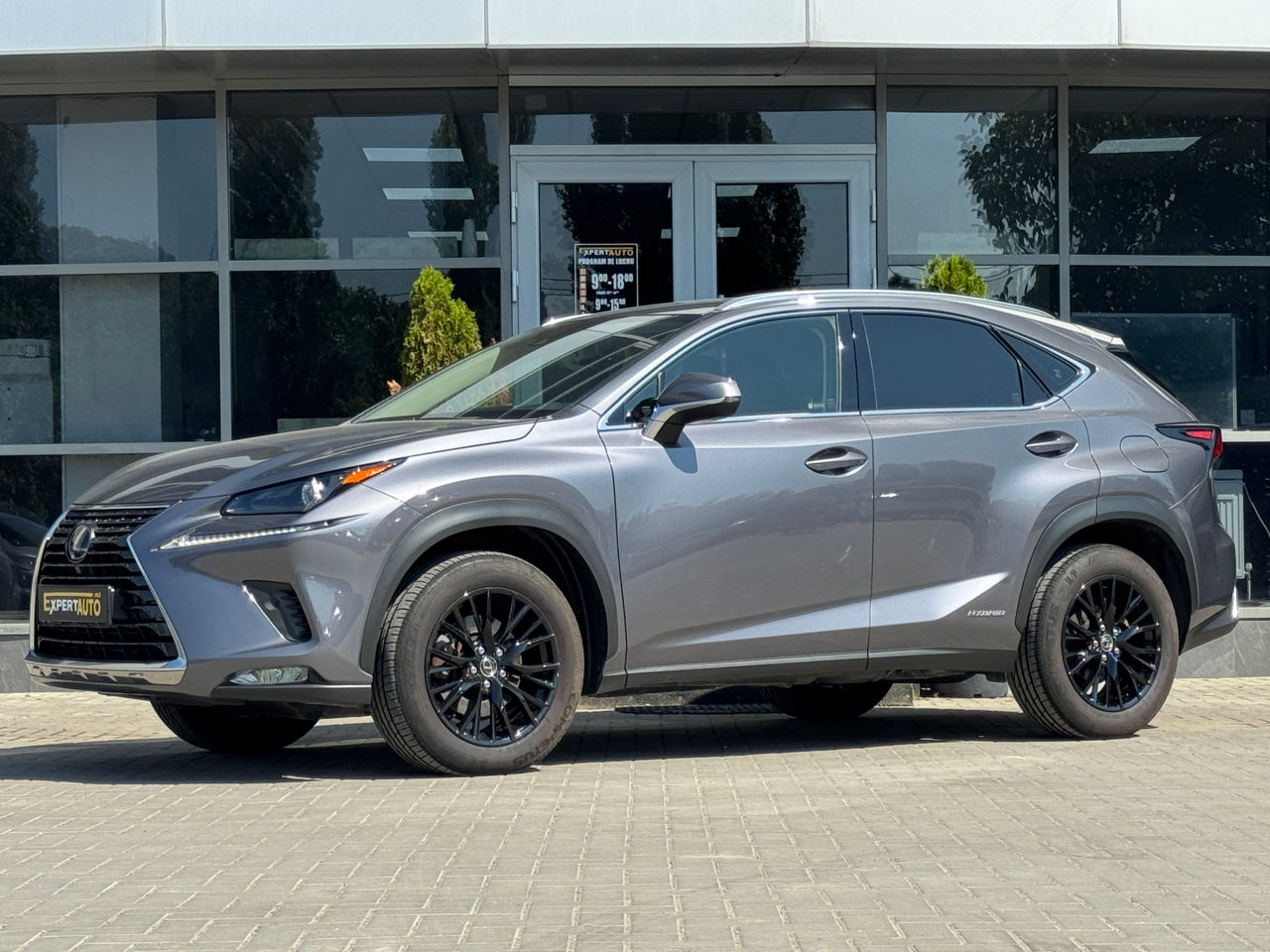 Lexus NX Series